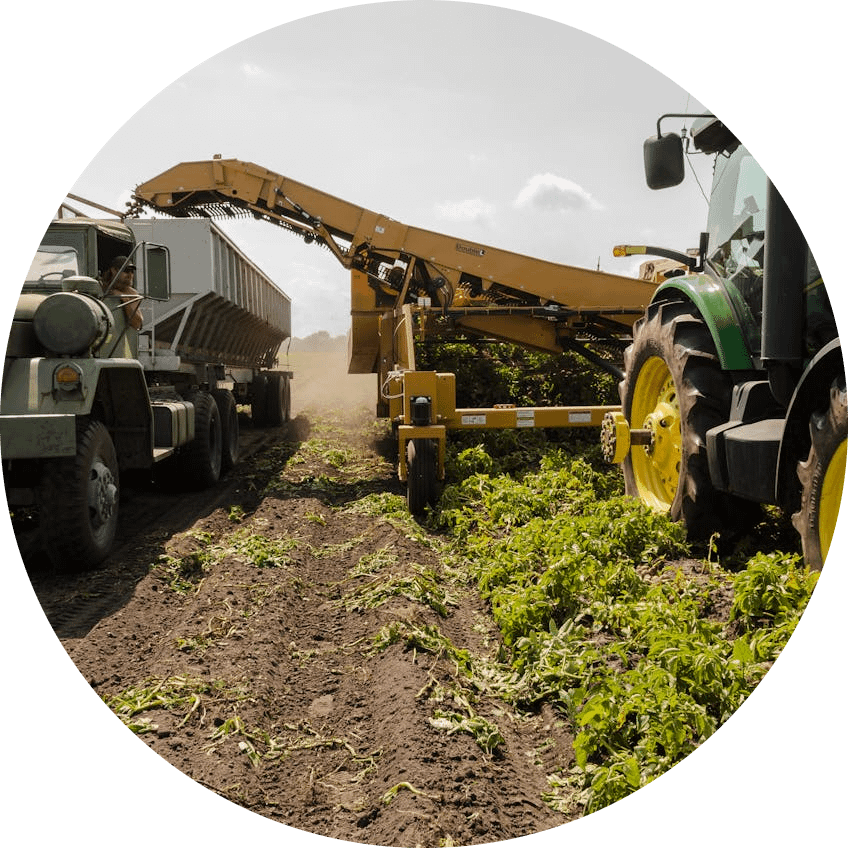 Agricoltura: il DL conferma 10 milioni per il fondo sovranità alimentare anche per il 2024