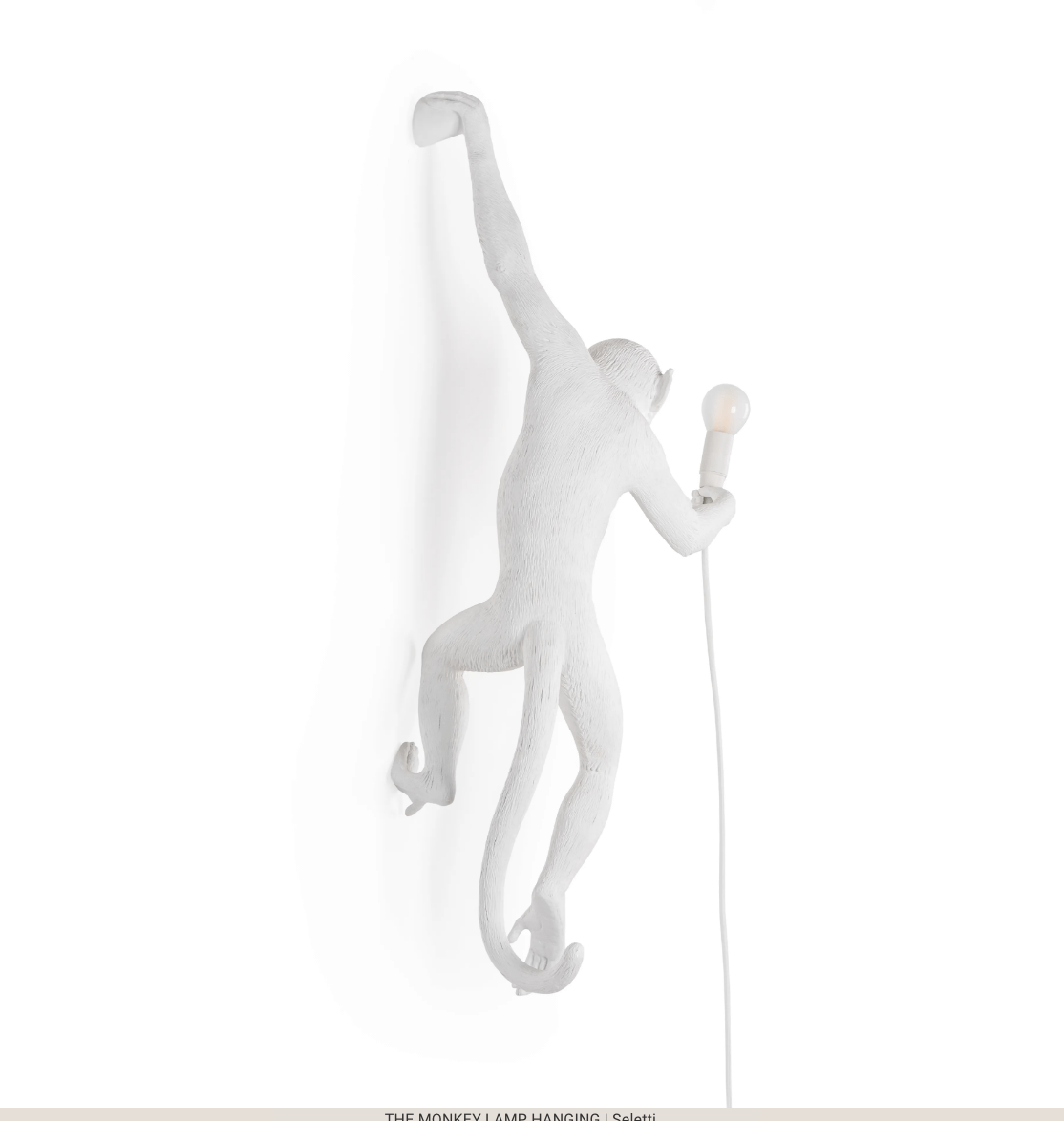 THE MONKEY LAMP HANGING