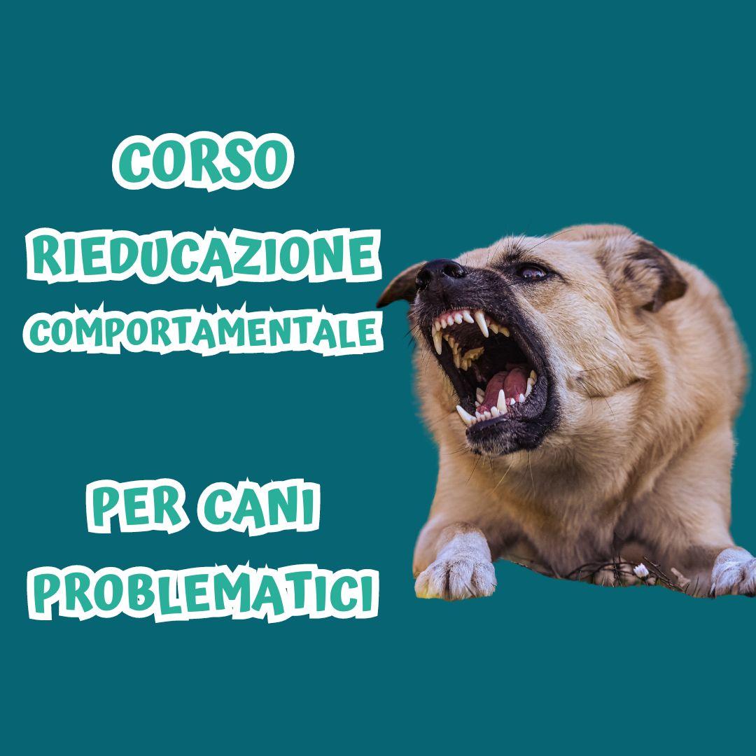 CORSO RIEDUCAZIONE COMPORTAMENTALE (FOBIE, ANSIE, AGGRESSIVITA')