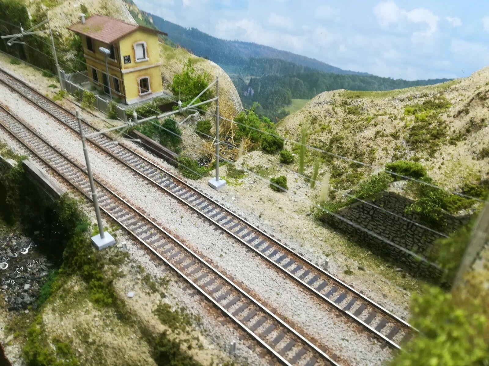 PD15 DIORAMA ESPOSITORE FERROVIARIO