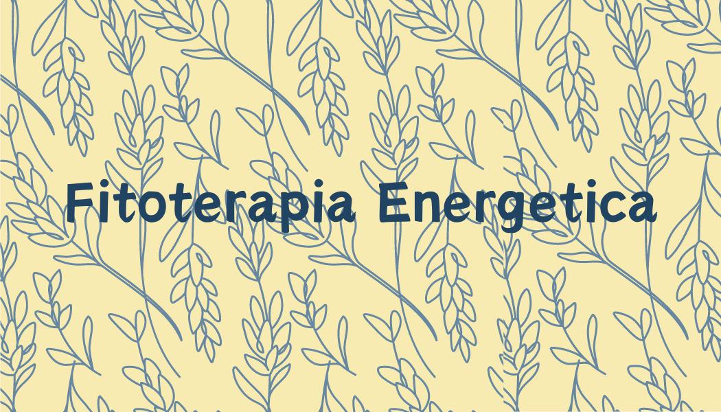 fitoterapia energetica