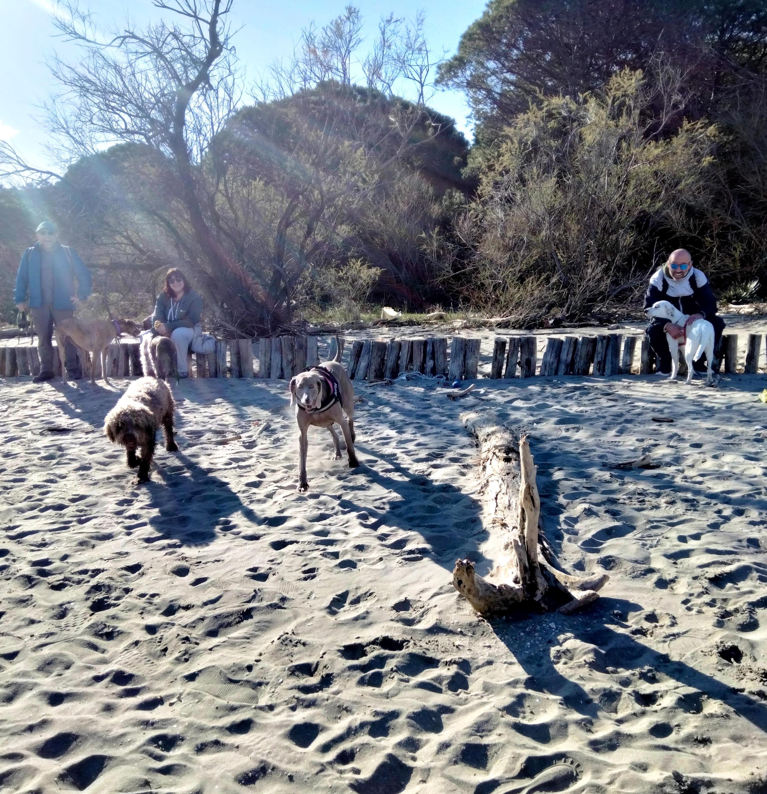 Lido di Volano