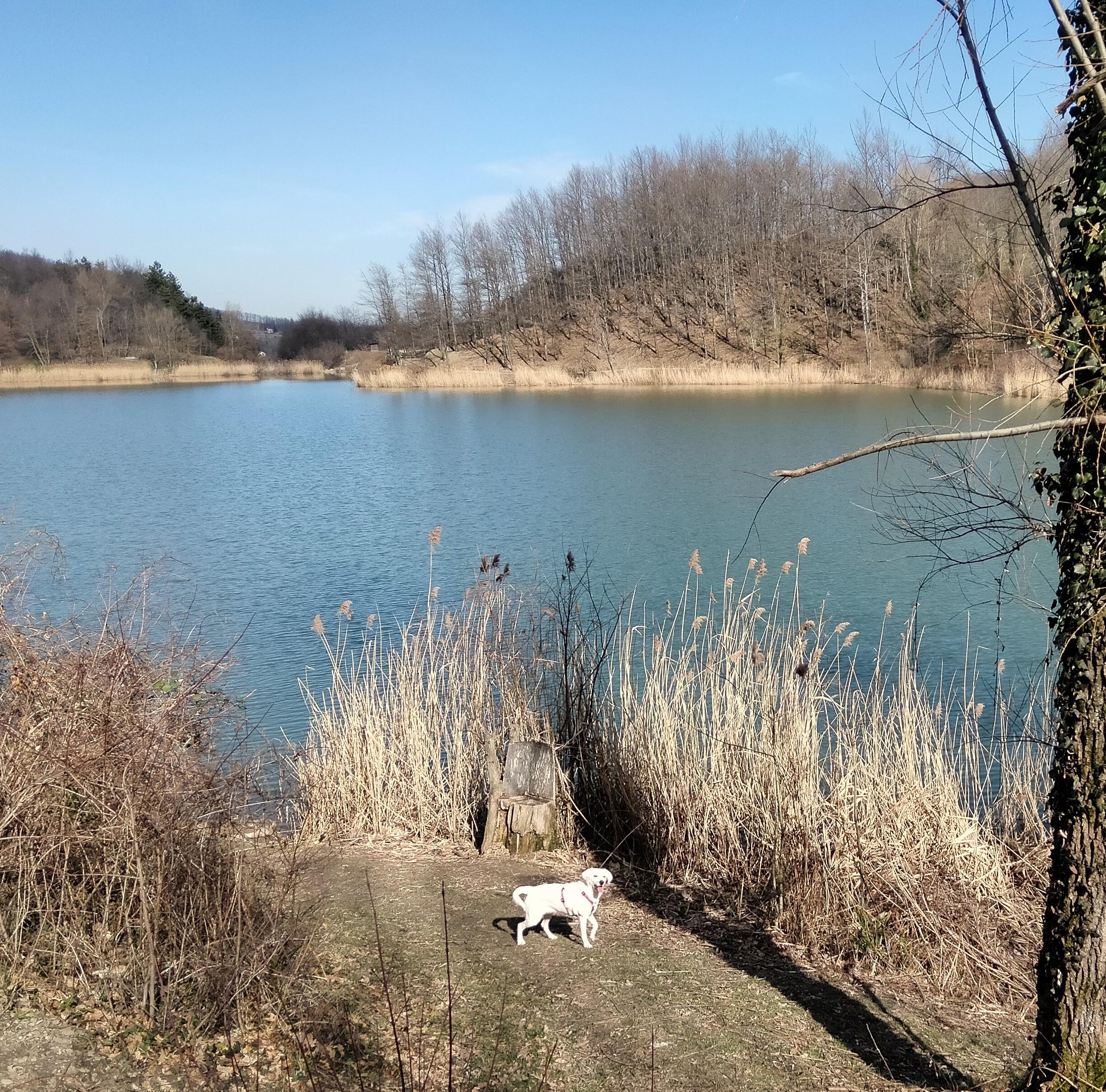 Lago di Castel dell'Alpi