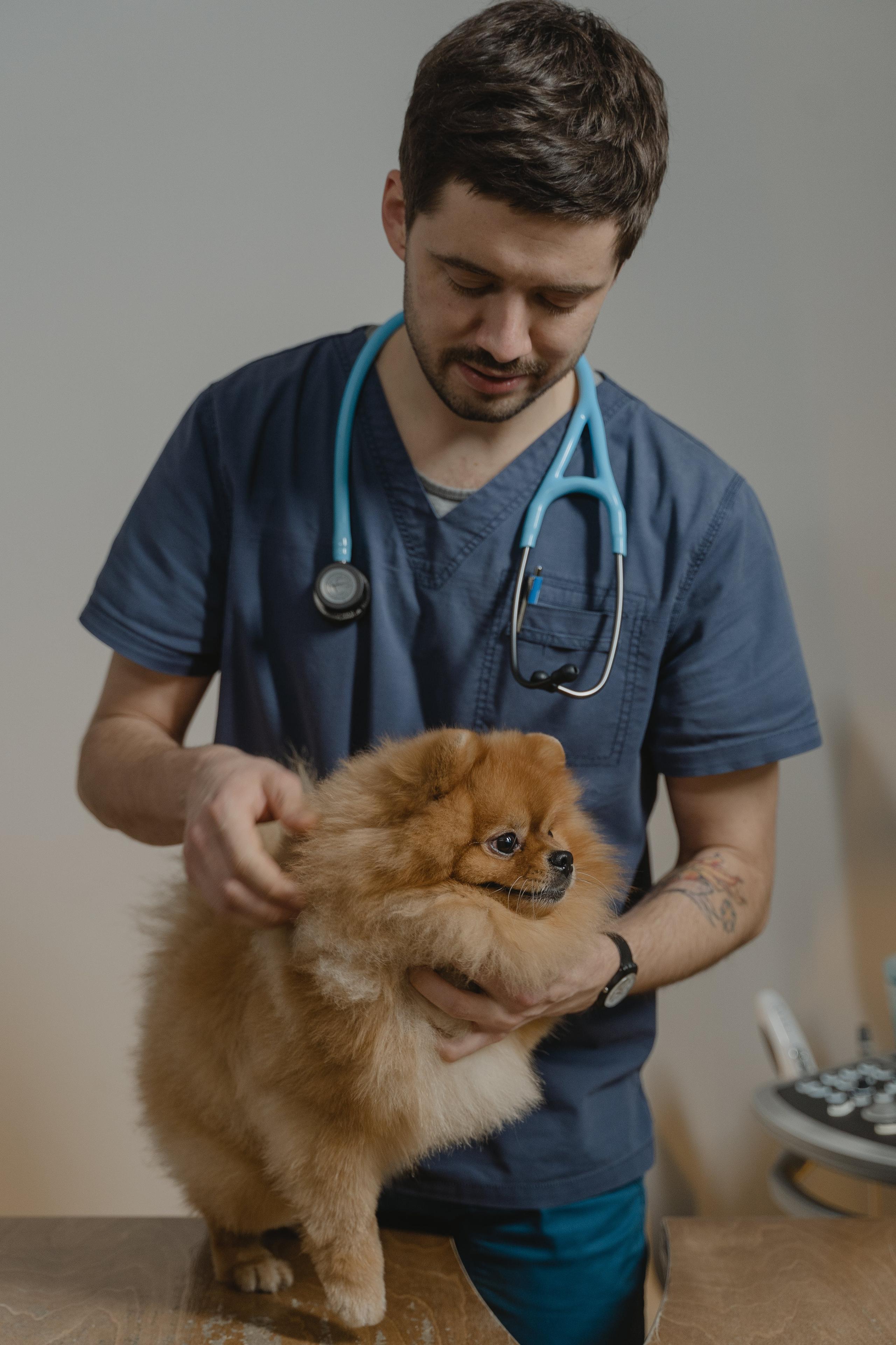 Preparare la visita dal veterinario