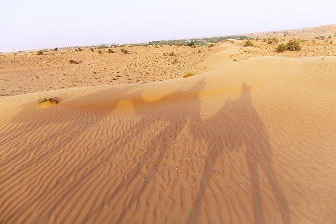 Sandboarding nel deserto di Dubai