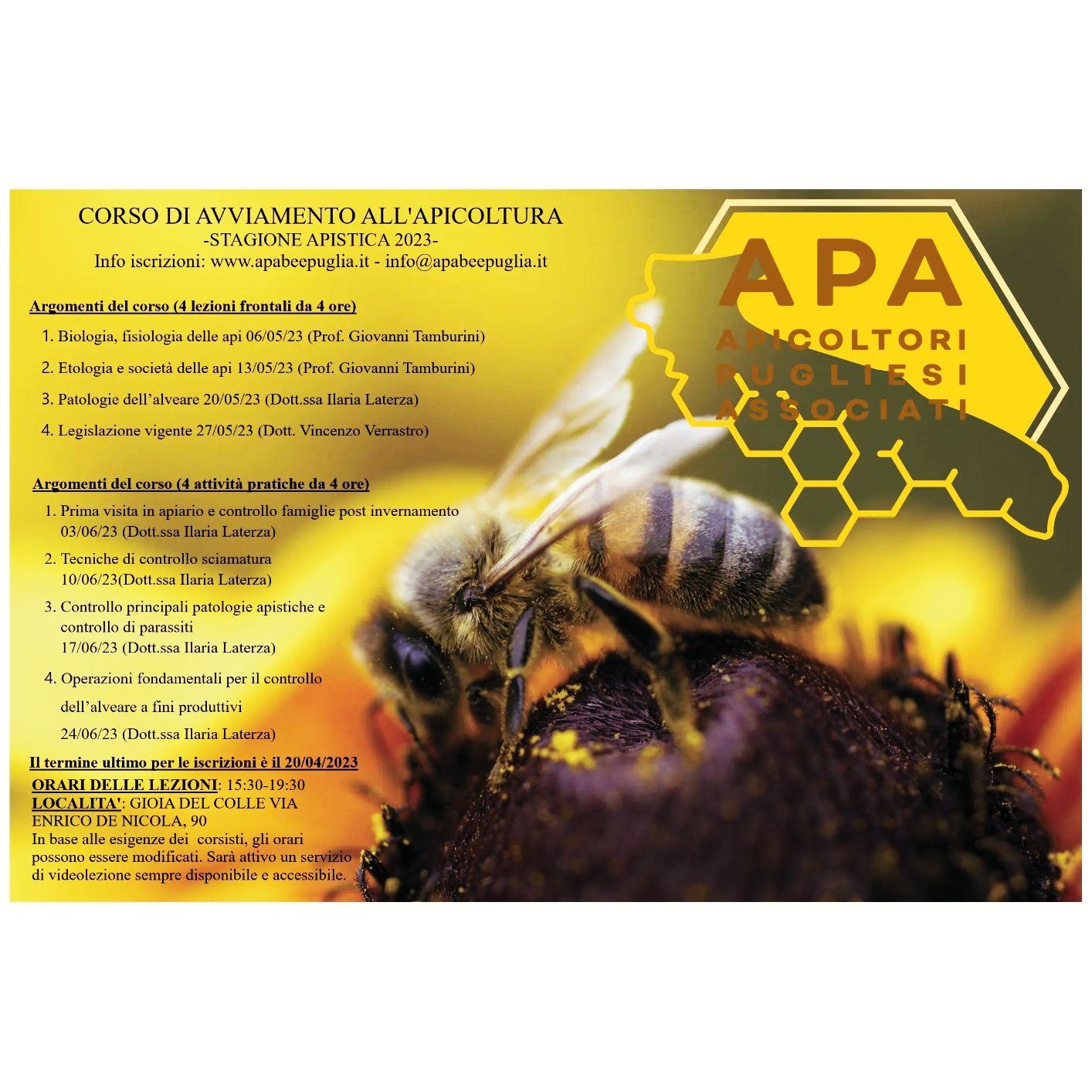 corso, apicoltura, apa, bee, puglia, api, ape