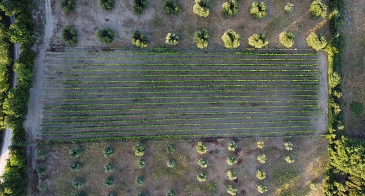 Rilievi topografici ed ispezioni per progettazione e manutenzione impianti