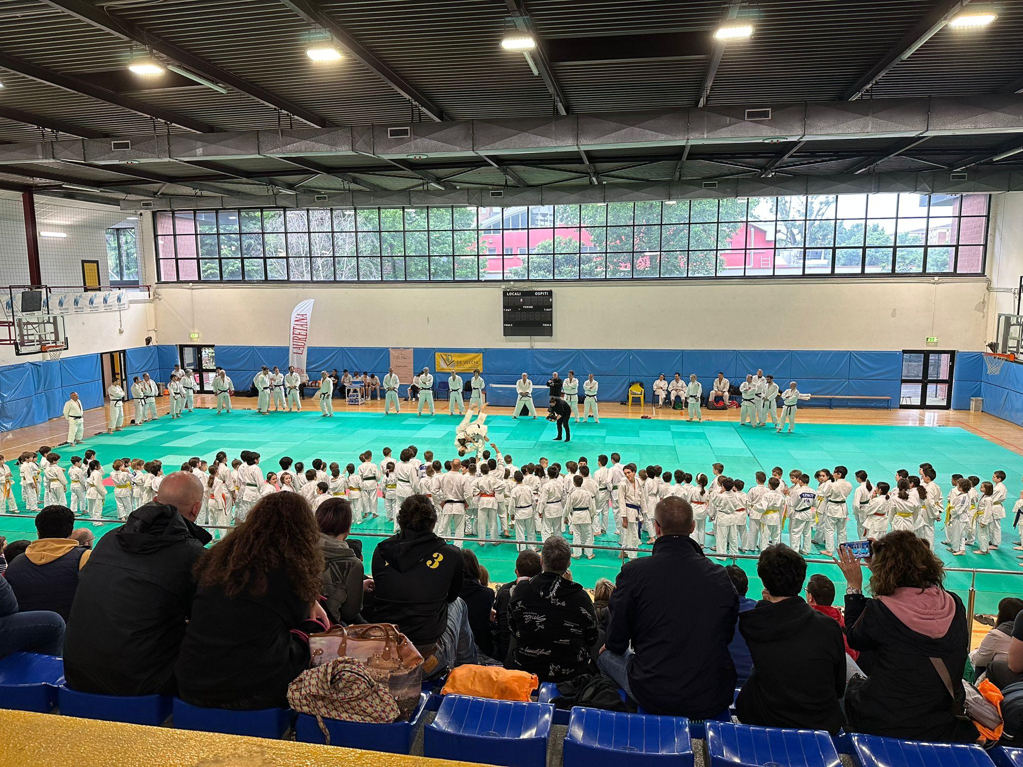 lezione-di-judo