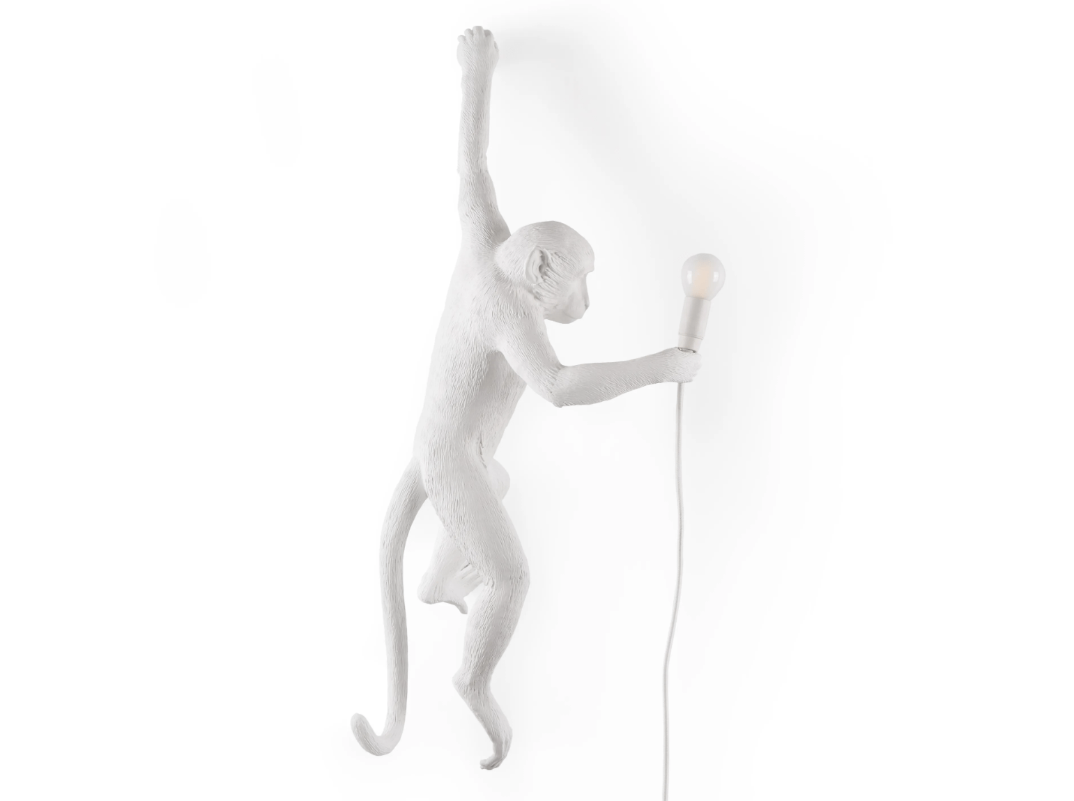 THE MONKEY LAMP HANGING