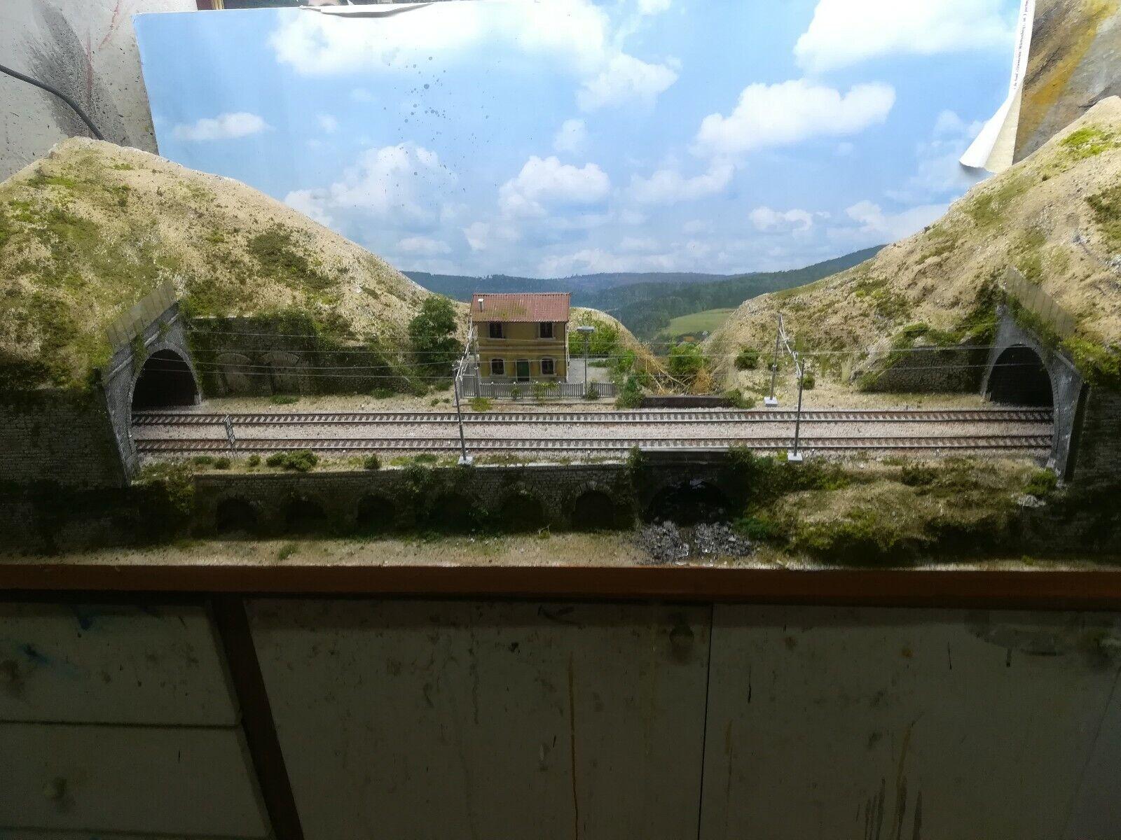 PD15 DIORAMA ESPOSITORE FERROVIARIO