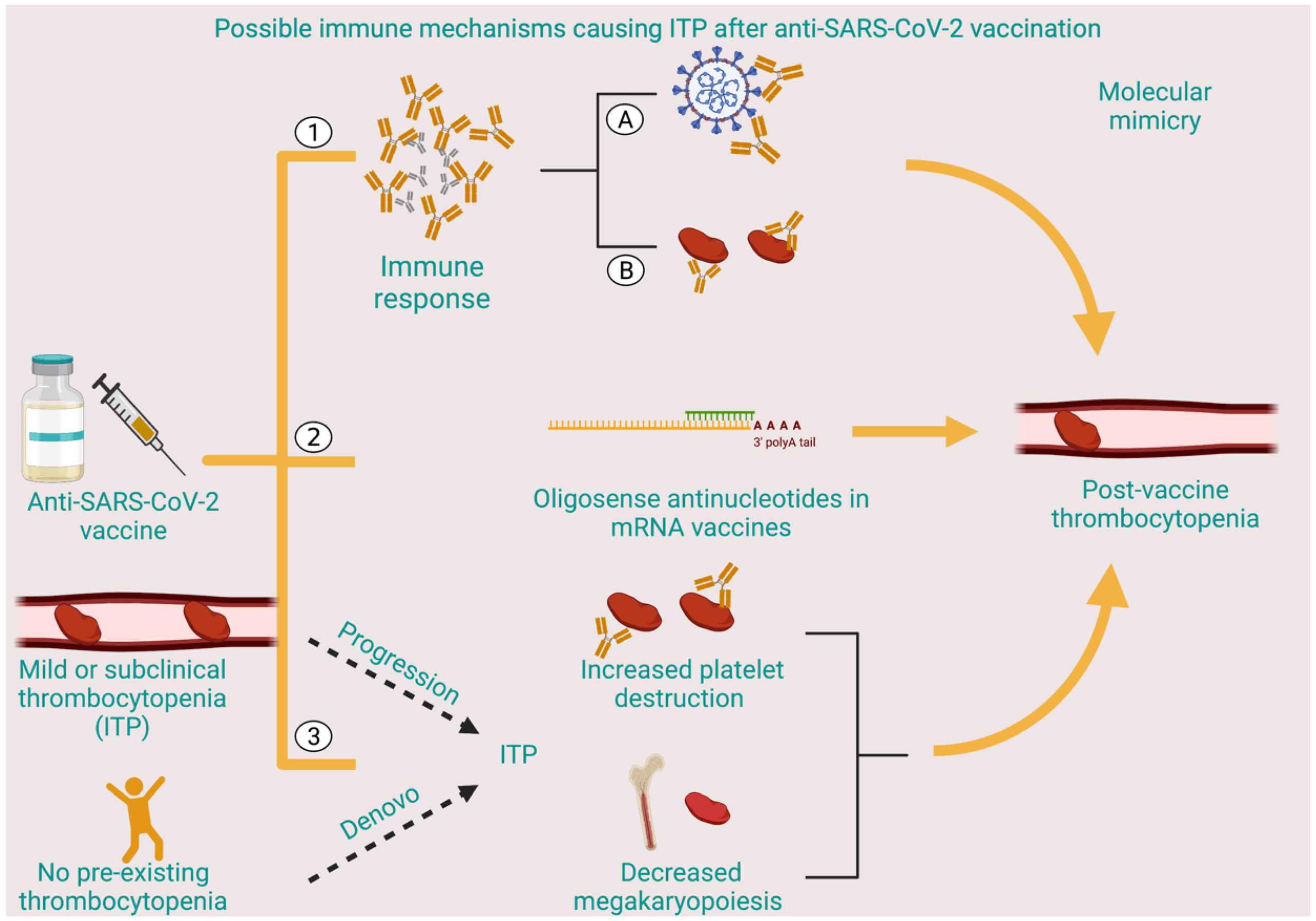 vaccines-10-01444-g002png