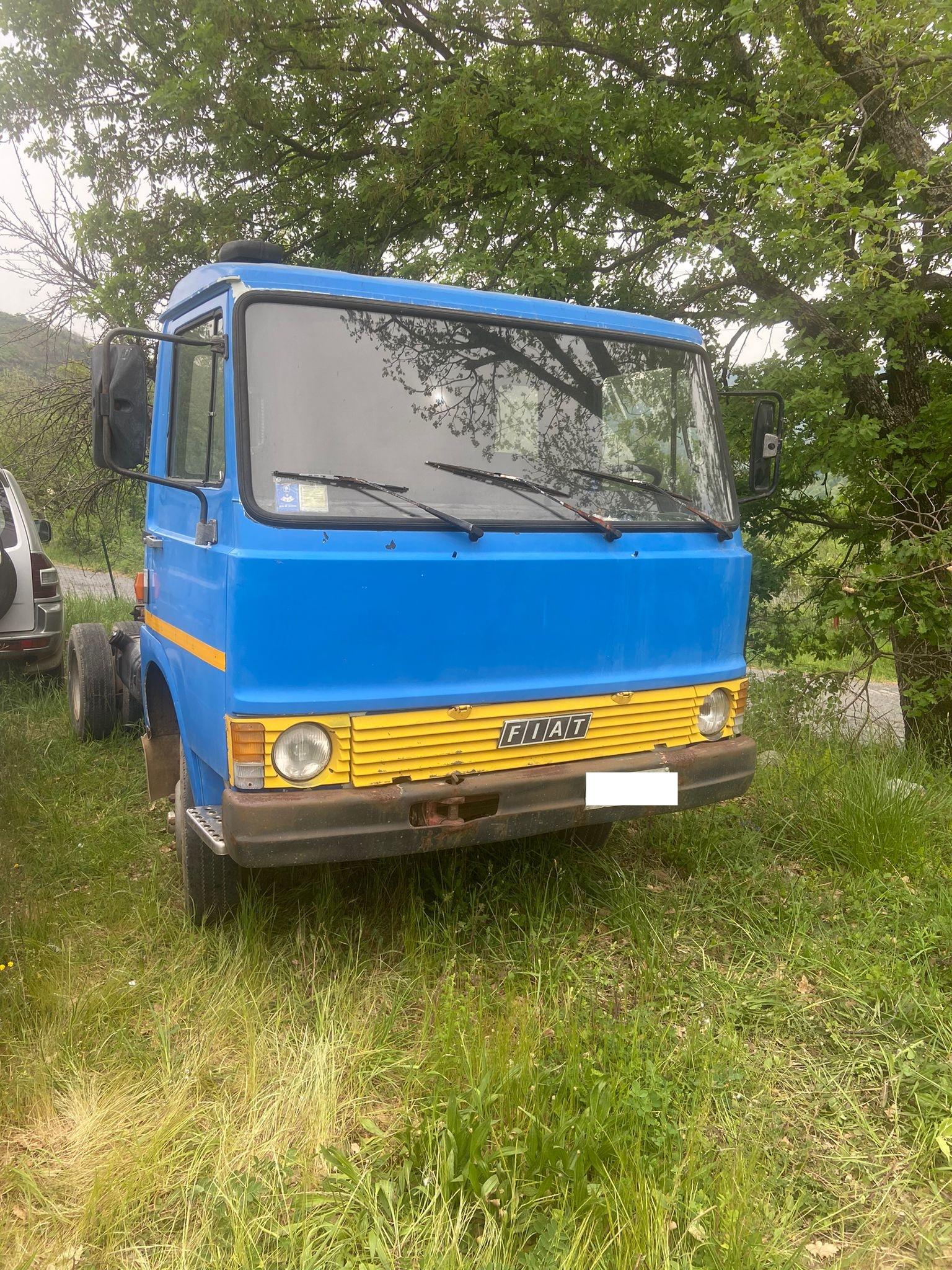 CAMION FIAT