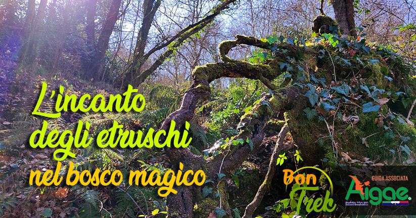 Trekking nelle terre degli etruschi